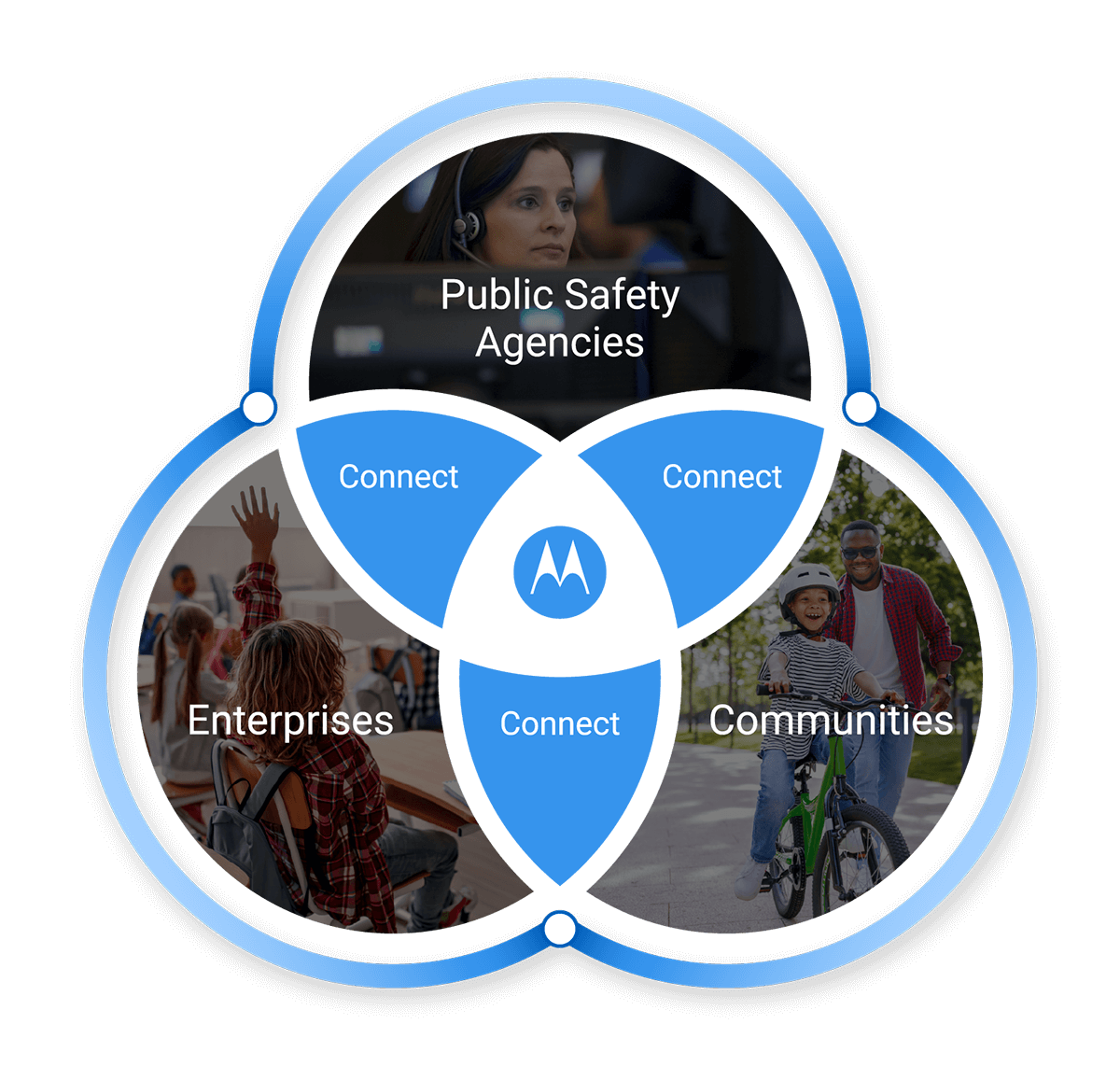 MSI Stakeholder Diagram